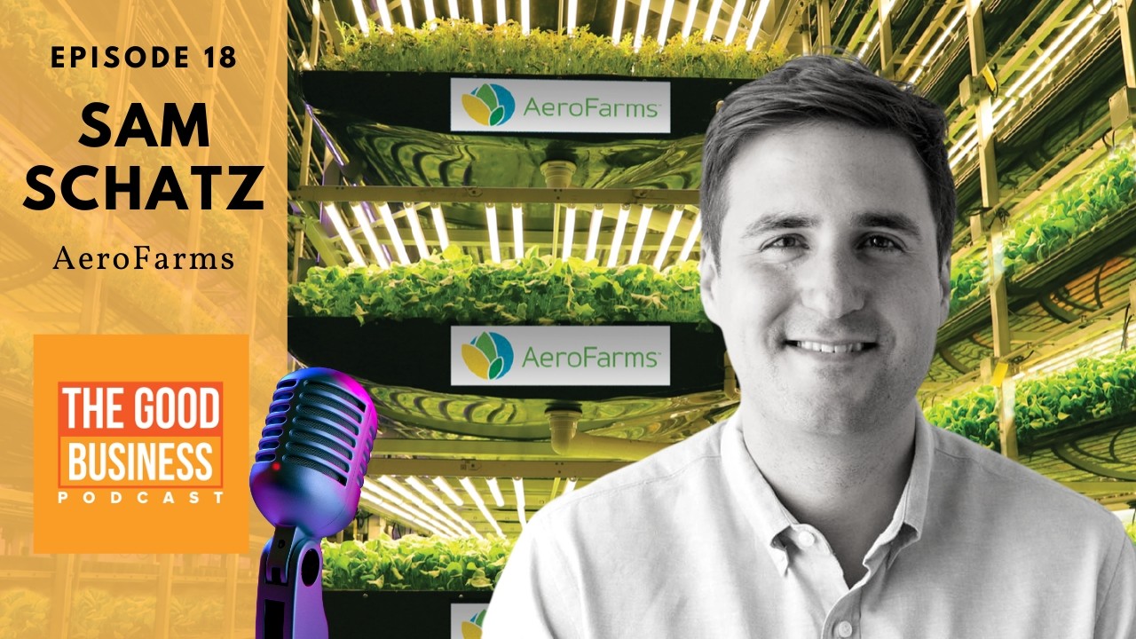 How to Design a Winning and Sustainable Business Model